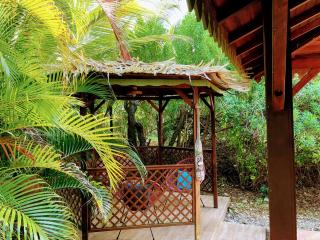 Magnifique Lodge en bois avec piscine et jardin de 800 m2 - Le Lamentin - 5