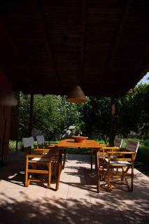 Tzitzikari, Private Cottage in a Citrus Garden - Káto Melidhóni - 6