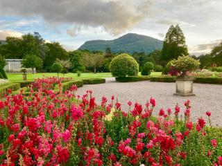 Rugged Glen Accommodation - Glengarriff - 7