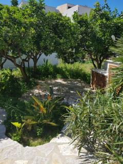 casa cocos - San Vito lo Capo - 9