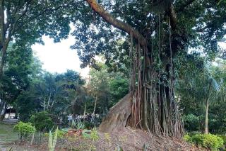 Guayacán Casa Hostal - 6