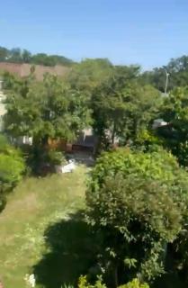 Chambourcy poissy - Poissy - 8