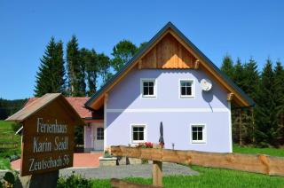 Haus Karin Seidl - Neumarkt in Steiermark - 0