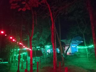 GREEN NEST HOME STAY - Meenangadi - 4