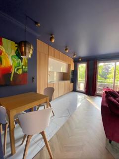 luxury Paris La Vie En Rose jacuzzi terrasse Parking - 1