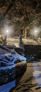 Estrella de nieve - Güéjar-Sierra - 9