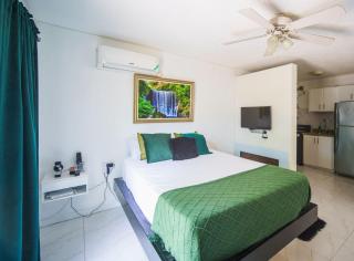 Fiwi-Own Chelsea Manor, Kingston - 6