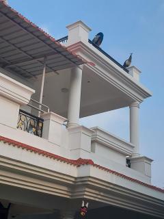 Shri Sai Baba Homestay - EB Colony - Trichy - Tiruchirappalli - 7
