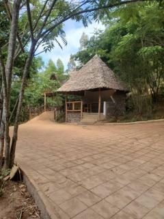 Ngorongoro Economy Lodge - Karatu - 4