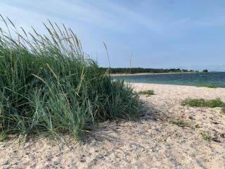 Strandlägenhet Byxelkrok, Öland - Byxelkrok - 6