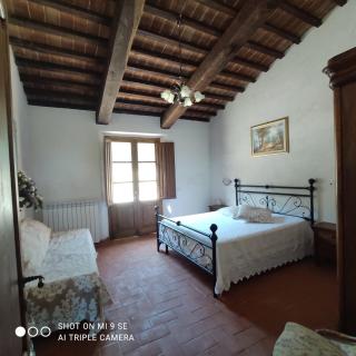 Il Casale - Tenuta Le Bruscoline - Massa Marittima - 9