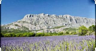 Joli Studio le clos d'Aix avec grande terrasse piscine et parking gratuit - 1