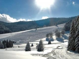 Studio Nr. 312 im Haus Alb - 5