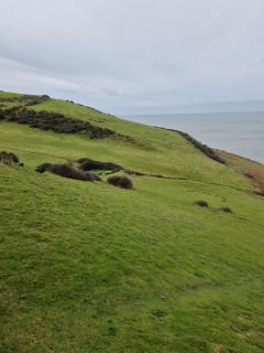 Harries Lodge ocean - New Quay - 1