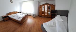 Pensiunea Trei Brazi - Tîrgu Ocna - 1