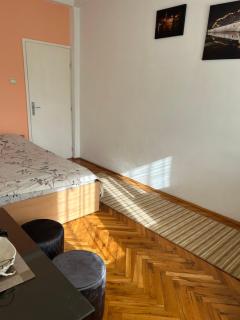 Podgorica Guesthouse(free transport to bus station) - Podgorica - 9