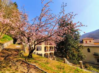 Casa Valduggia - Valduggia - 9