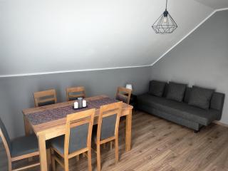 Apartament 9 os. z 2 łazienkami - Zator - 7