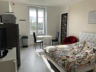 Studio meublé et lumineux 20m2 - Vittel - 5
