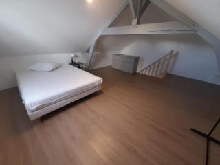 Bel appartement à 2 pas du CHU - Isle - 3