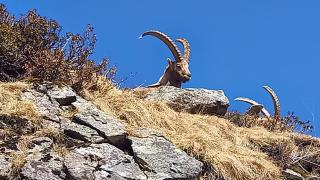 Trekker's Home L'infinito & SPA - 2