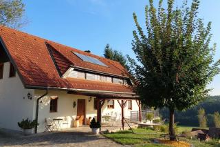 Naturjuwel inmitten der Weinberge - Sankt Stefan ob Stainz - 0