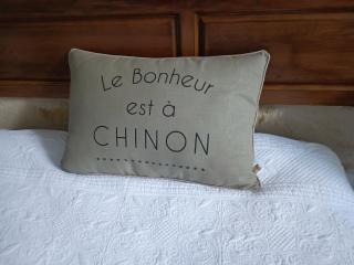 Gîte la comète - Chinon - 9