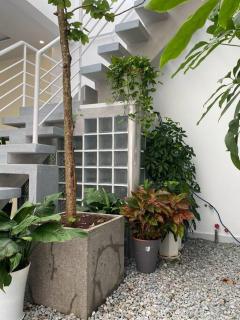 Bloom House - Homestay Vung Tau - Vung Tau - 4