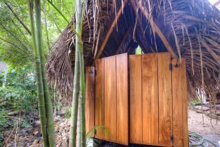 Treehouse Chilo at Hacienda Nosara - Playa Pelada - 9