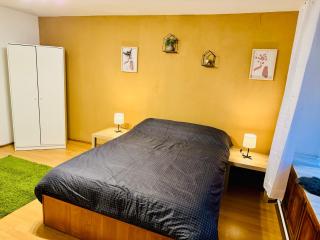 Studio Luca - Sibiu - 1