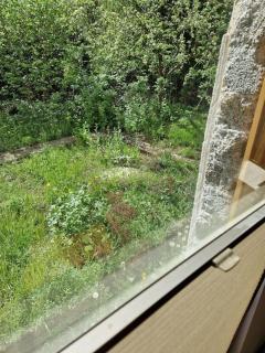 Naturnahes Wohnen in einem alten Haus mit Garten - 4