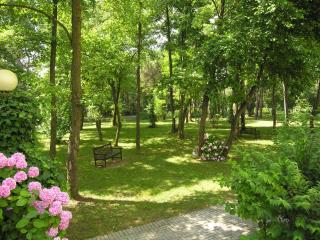 Apartment Pine Wood - Bibione - 8