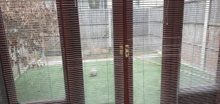 LONDON EXPERIENCE - 3