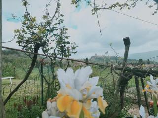 I Castagnini - 3
