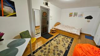 Ultracentral Lozonschi Apartament Parter - Iaşi - 6