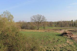 Skräpplinge gård - Mörlunda - 9