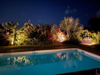 Bungalow jardin tropical - piscine - Saint-François - 2