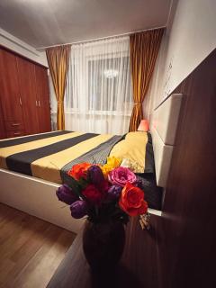 Vintage Apartament - Constança - 7
