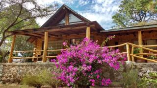 Cabaña en el bosque de Tapalpa - Tapalpa - 0