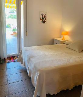 El Toyo Cactus - Almería - 1