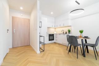 Blue Apartment Ceglana - FREE PARKING - Self check-in - Katowice - 4