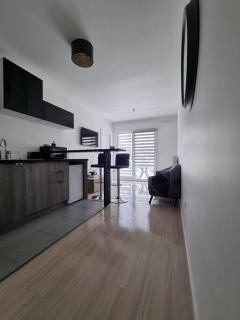 Le city F2 centre-ville - Saint-Louis - 5