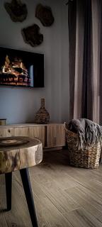 WoodStone Apartments Karpacz - Karpacz - 9