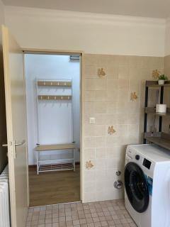Appartement Au Rhin mit Balkon in Bad Bellingen - Bad Bellingen - 7