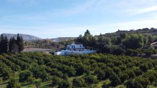 Vega Fahala Organic Orchard & Vacation Villa - Alhaurín el Grande - 6