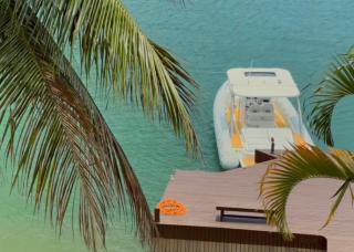 House beach private paradise - Angra dos Reis - 5