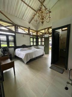 Carayurú - 5