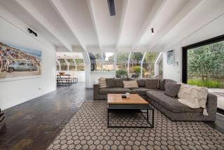 Lola on Lever Blairgowrie - 6