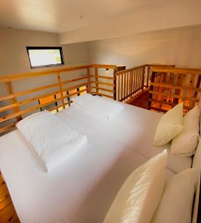 Hotel Little Swiss House - 4