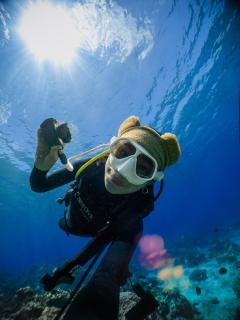 Slow Island Hostel - 1